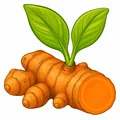 Turmeric root